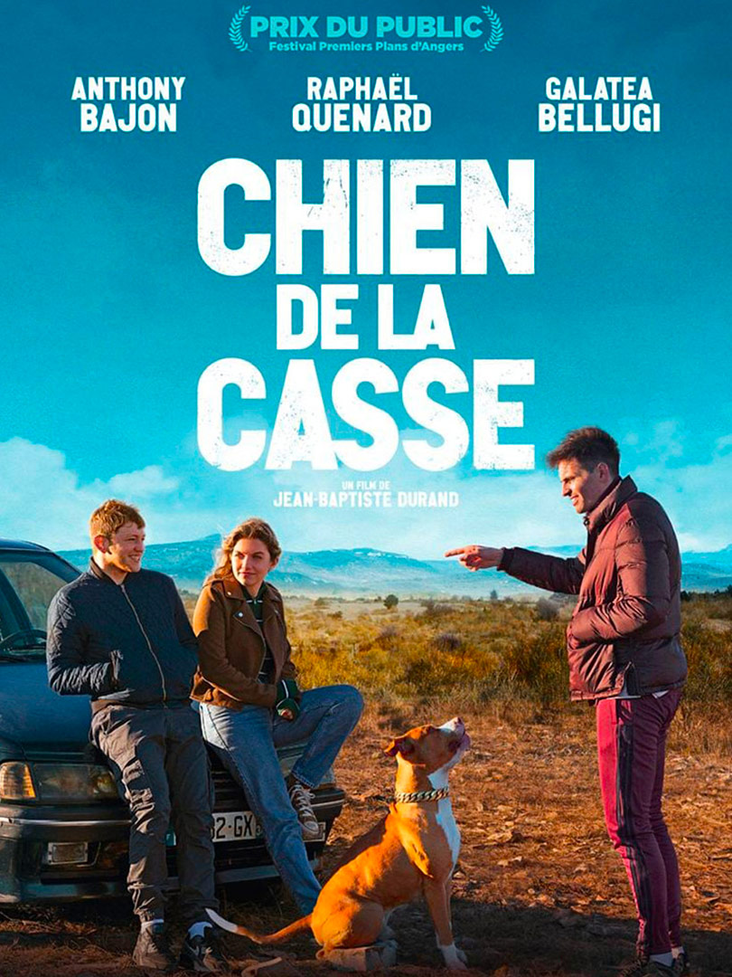 Chien de la casse